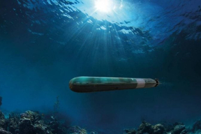 «Это система, которая служит политической цели, но свою основную функцию выполнить не может»